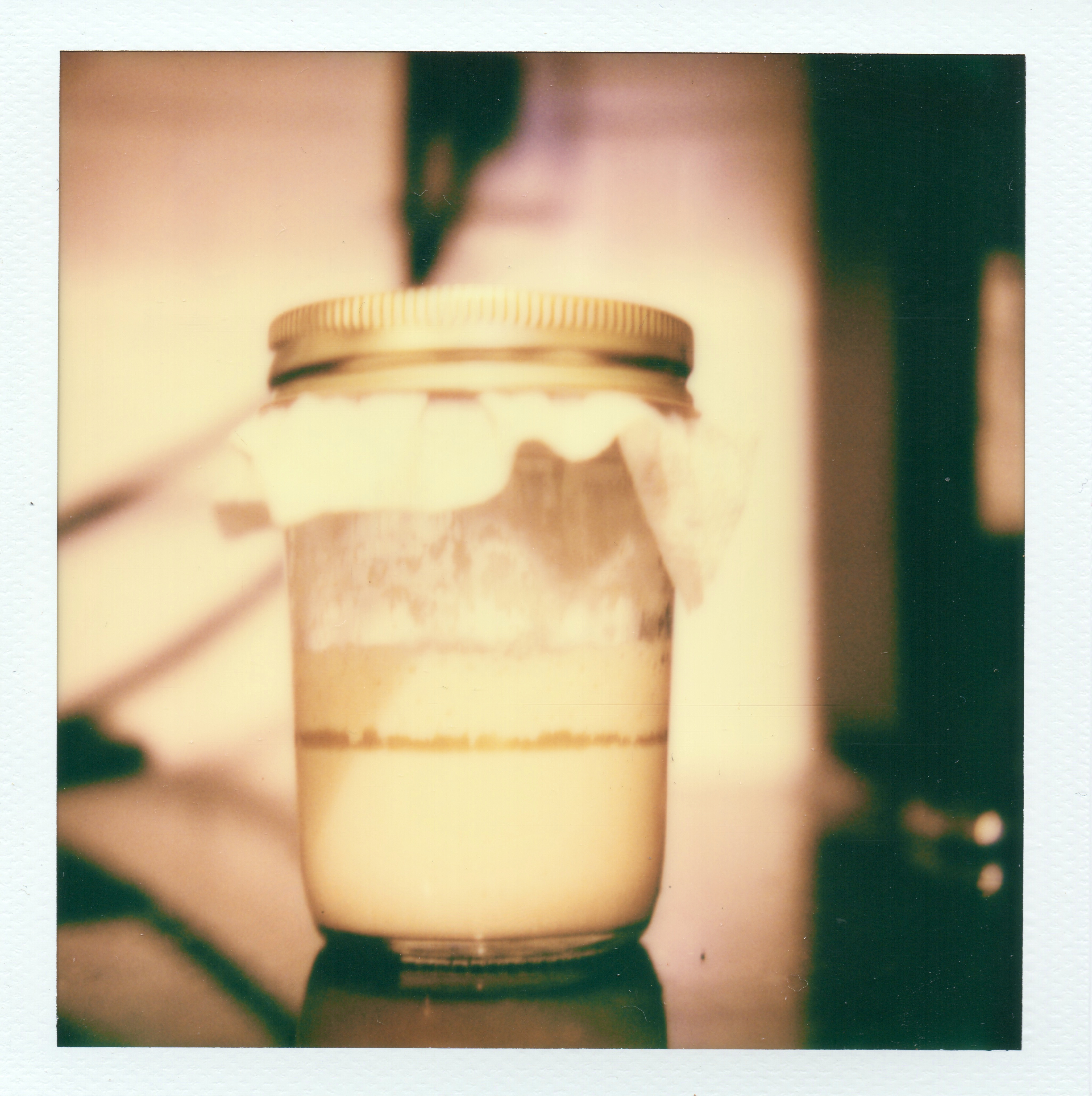 Lockdown Yeast: How I captured my pandemic sourdough starter